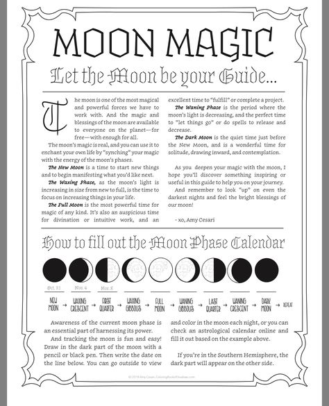 New Years Witchcraft, Phase Of The Moon, Lunar Magic, Moon Magick, Moon Rituals, Magia Das Ervas, Moon Reading, Wiccan Magic, Moon Journal