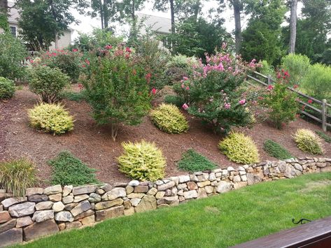 pictures of Hillside Landscaping - - Image Search Results Landscaping Woods, Steep Hillside Landscaping, Backyard Hill, Steep Backyard, Backyard Hill Landscaping, Simple Landscape Design, Sloped Backyard Landscaping, Landscaping A Slope, Landscaping Around Trees