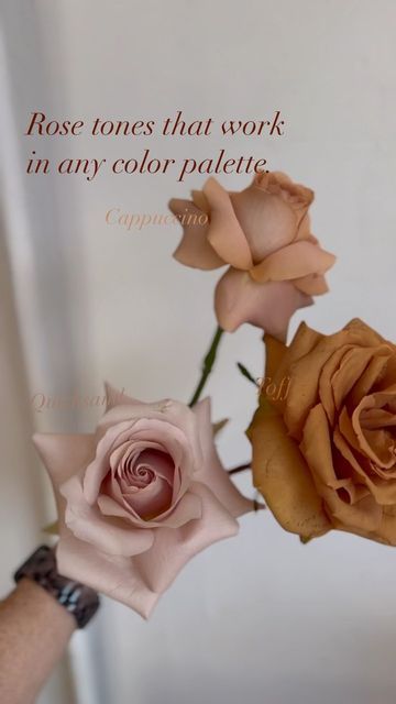 Terracotta Pink Wedding, Tuscany Wedding Flowers, Cappadocia Wedding, Centerpieces For Wedding, Colour Guide, Wyoming Weddings, Wedding Colours, Blush Pink Weddings, Future Wedding Plans