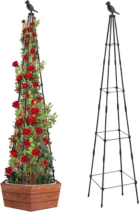 Amazon.com : MQHUAYU Garden Trellis for Climbing Plants Outdoor, 65 inch Tall Plants Obelisk Trellis with Adjustable Heights for Indoor Potted Plants, Vines, Flowers Stands, Cucumber, Tomato, Pea, 1 Pack : Patio, Lawn & Garden Climbing Plants Outdoor, Indoor Potted Plants, Obelisk Trellis, Plants Vines, Vines Flowers, Trellis Garden, Garden Obelisk, Outdoor Trellis, Plants Outdoor