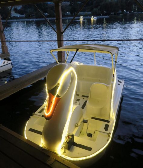 Swan Boat Aesthetic, Swan Boat, Swan Boats, Echo Park Lake, Honeymoon Avenue, Pedal Boats, Pedal Boat, Lake Villa, Boat Lights