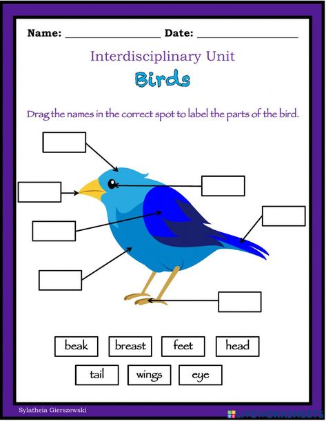 Reading Comprehension For Kids, Biology Worksheet, Worksheets For Grade 3, Animal Classification, Bird Beaks, Teaching Aids, Grade 3, Literacy Centers, Reading Comprehension