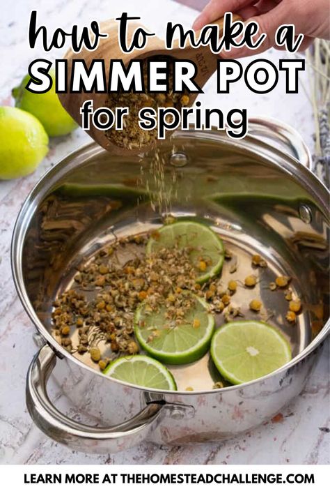 Welcome spring into your home with the delightful aromas of our Simple Spring Floral and Citrus Simmer Pot Recipe! This easy-to-make recipe blends the fresh scents of seasonal flowers with zesty citrus to create a fragrant atmosphere that celebrates the season. Perfect for freshening up your space naturally without chemicals. Whether you're hosting a spring gathering or just enjoying a quiet day at home, this simmer pot is a simple way to infuse your home with the scents of spring. Spring Simmer Pot Recipes, Spring Simmer Pot, Simmer Pots, Simmer Pot Recipes, Lavender Recipes, Simmer Pot, Fresh Scents, Upcycle Decor, Welcome Spring