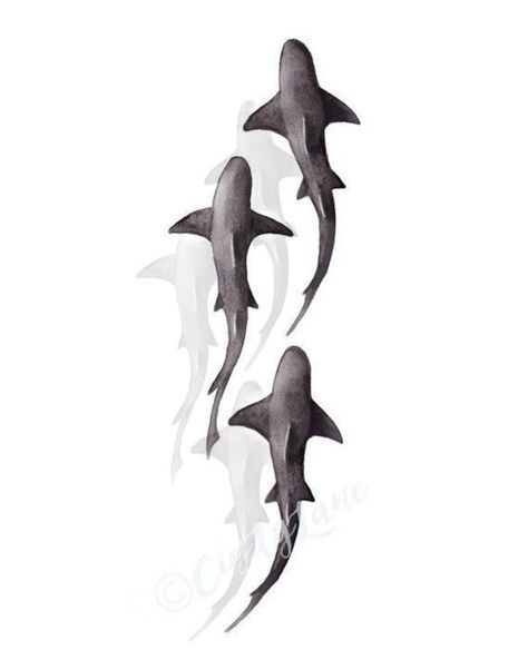 Three Shark Tattoo, Shark Tattoo Ideas For Men, 3 Shark Tattoo, Men Shark Tattoo, Two Sharks Tattoo, Sea Tattoo Men, Long Tattoo Ideas, Shark Tattoo Men, Long Tattoos