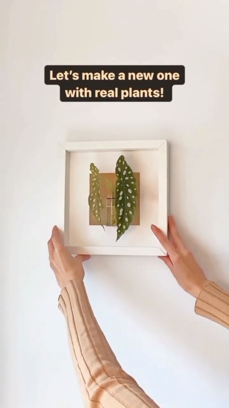 Ikea Photo Frames, Polaroid Diy, Framed Plants, Plants Wall, Diy Picture Frames, Plant Cuttings, Beach Crafts, Plant Pictures, Real Plants