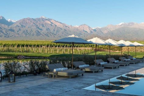 The Vines Resort | Tunuyán, Mendoza, Argentina - Venue Report Spa Inspired Bathroom, Wine Education, Natural Palette, Spa Inspiration, Birds Eye View, Infinity Pool, Malbec, Mendoza, Birds Eye