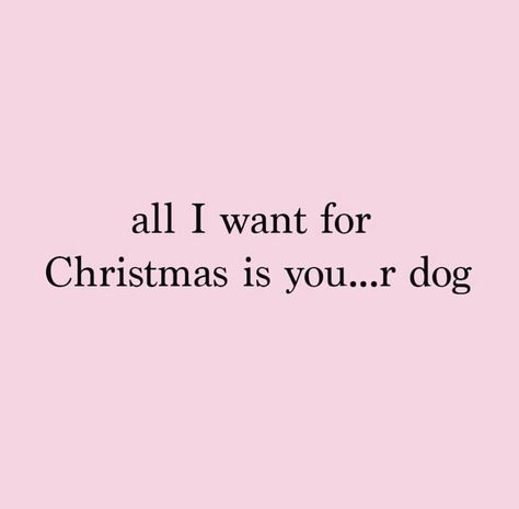 Jordan Gift, Cat And Dog Memes, Dog Words, Insta Captions, Dog Shaming, Independent Woman, Christmas Funny, Girly Quotes, Pit Bulls