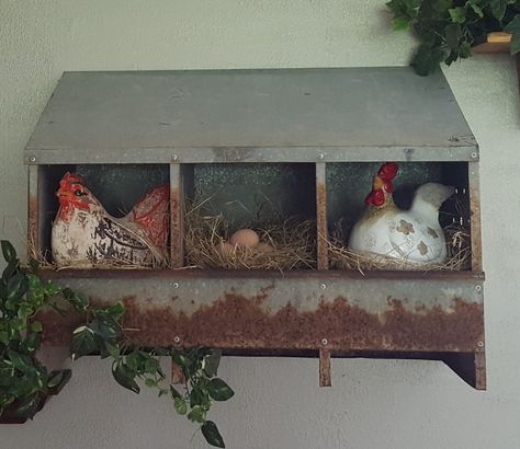 Chicken nest box decor Chicken Nesting Box Decor, Metal Chicken Nesting Boxes Decor, Metal Chicken Coop Decor, Nesting Box Decorating Ideas, Chicken Kitchen Decor Farmhouse, Nesting Box Ideas Decor, Chicken Nesting Box Ideas Decor, Nesting Box Decor, Nesting Boxes Decor