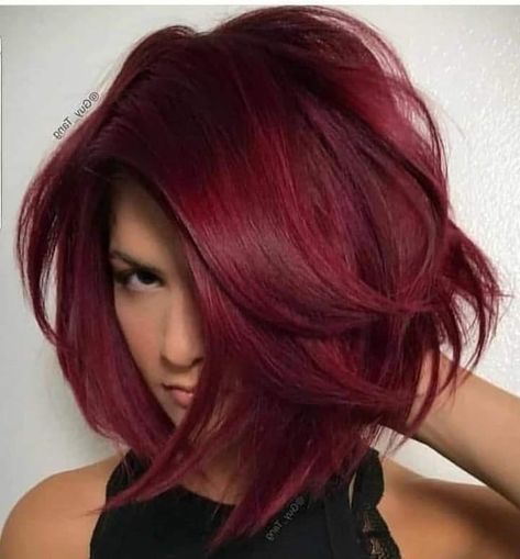 Red Hair Spring 2024, Casual Short Hairstyles, Pelo Color Vino, Short Haircut Ideas, Cheveux Oranges, High Fashion Hair, Short Red Hair, Haircuts Ideas, Wine Hair