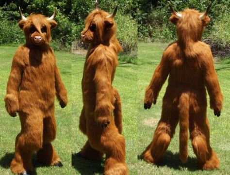 Cow Fursuit, Diy Cow Costume, Highlander Cow, Foam Costume, Fursuit Tutorial, Cow Costume, Mythical Monsters, Animal Costumes, Halloween Orange