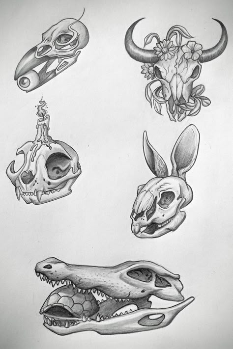 Cráneos de animales Rabbit Skull Drawing, Eli Tattoo, Animal Skull Drawing, Ink Practice, Tattoo Learning, Skull Drawing Sketches, Tattoo Realism, Skulls Flowers, Teeth Drawing