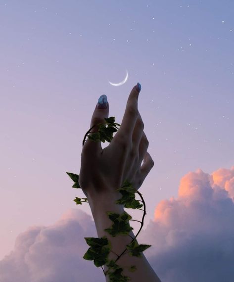 Mooncore Aesthetic, Shadow Pictures, Wallpaper Nature Flowers, Moon Photography, Fantasy Aesthetic, Cool Pictures Of Nature, Pretty Wallpapers Backgrounds, Job Application, Aesthetic Images