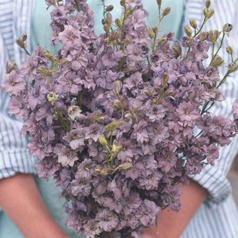 Seasonal Bouquets, Flower Planting, Planting Tips, Flower Spike, Parts Of A Plant, Seed Starting, Cool Plants, How To Level Ground, Look Alike