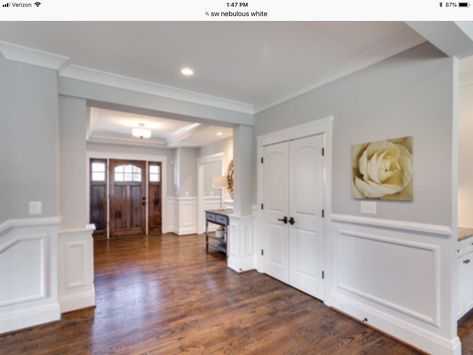 Sw Nebulous White, Nebulous White, Dallas House, Farm House Colors, Interior Paint Colors, Sherwin Williams, Interior Paint, Cottage Decor, White Walls