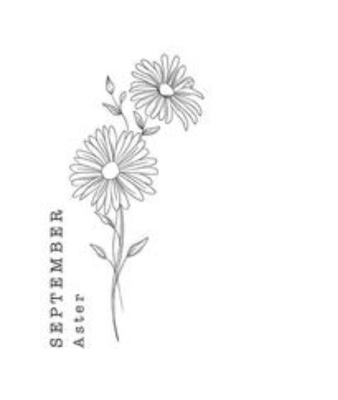 Aster Wrist Tattoo, Aster And Iris Flower Tattoo, Minimalist Aster Tattoo, Aster Flower Bouquet Tattoo, Fine Line Aster Tattoo, Small Aster Tattoo, September Aster Tattoo, Fine Line September Flower Tattoo, Simple Aster Tattoo