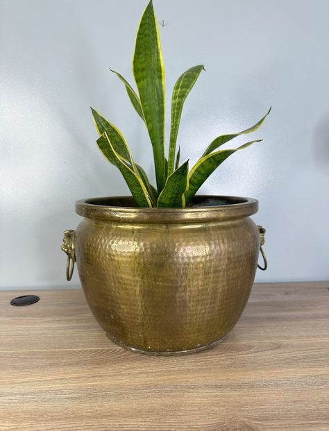 Brass Pots Decor, Brass Plant Stand, Vintage Brass Planter, Brass Planter Decor, Interior Planters, Brass Aesthetic, Chinoiserie Planter, Vintage Brass Decor, Spooky Aesthetic