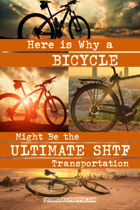 Shtf Vehicle, Diy Greenhouse Plans, Living Off The Grid, Going Off The Grid, Doomsday Prepping, Bug Out Vehicle, Emergency Preparation, Survival Life Hacks, Greenhouse Plans