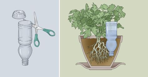 6 clever ideas for plants to water themselves Self Watering Bottle, Irrigation Methods, Gardening Indoors, Clean Water Bottles, Self Watering Plants, Plants In Bottles, Outside Plants, Diy Plastic Bottle, Plant Watering