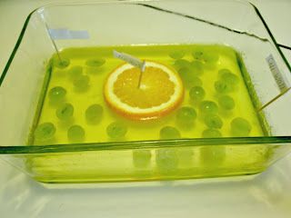 REAL Science Odyssey jello plant cell project. Plant Cell Project, Frugal Homemaking, Cell Project, Cells Project, Stem Experiments, Plants Unit, Garden Activities, Homeschool Tips, School Rules