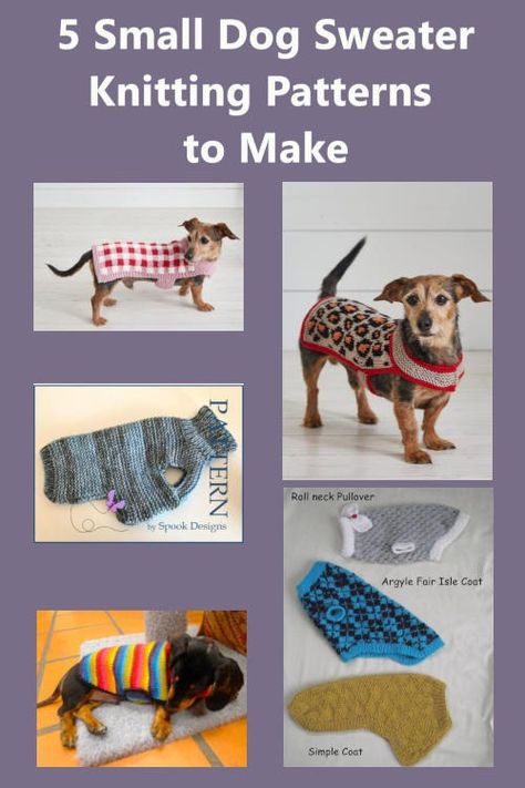 5 Small Dog Sweater Knitting Patterns to Make | Purple Knitting Dog Sweater Knitting Patterns, Cat Sweater Pattern, Knitting Patterns For Dogs, Knitted Dog Sweater Pattern, Easy Sweater Knitting Patterns, Knitting Patterns Free Dog, Dog Coat Pattern, Dog Sewing Patterns, Small Dog Coats