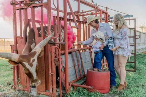 Western Style Gender Reveal, Farming Gender Reveal Ideas, Western Gender Reveals, Rodeo Gender Reveal Ideas, Horse Gender Reveal Ideas, Gender Reveal Country, Bull Or Heifer Gender Reveal, Cowboy Pregnancy Announcement, Farm Gender Reveal Ideas