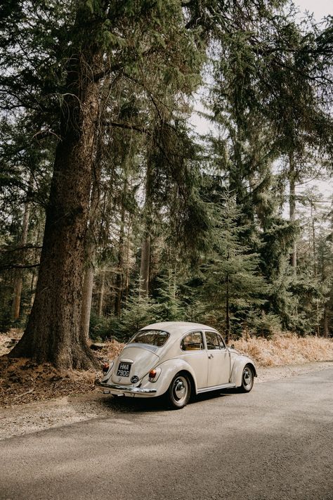 White Volkswagen Beetle, White Volkswagen, Vans Aesthetic, Running Pictures, Car Iphone Wallpaper, Beetle Car, Car Goals, Car Volkswagen, Vintage Vw