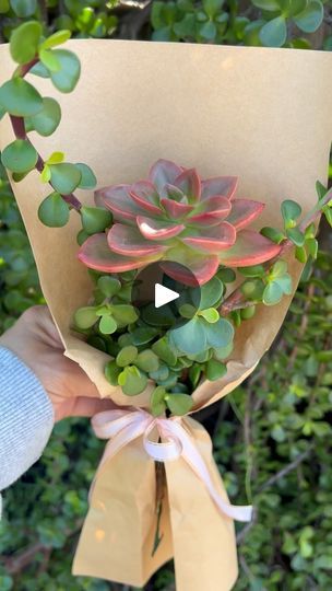 610K views · 41K reactions | How to make succulent flowers #diyideas 🍃🌷☀️This technique is perfect for bridal bouquets. Happy love day! 💖
.
.
.
#diygarden #plantsplantsplants #love #succulentlovers #giftideas | Jacqueline Esmailpour | marcbroussard · Original audio Succulent Bouquet Diy, Succulent Flowers, Happy Love Day, Succulent Bouquet, Love Day, Bloom Where You Are Planted, Love Days, Garden Club, Bridal Bouquets