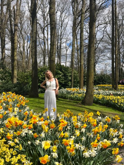 Tulip Fields Netherlands Aesthetic, Europe Girl Aesthetic, European Flowers, Tulip Fields Netherlands, Netherlands Aesthetic, Amsterdam Aesthetic, Amsterdam Tulips, Blondie Girl, Tulip Field