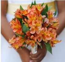 orange alstroemeria bouquet Orange Alstroemeria, Alstroemeria Bouquet, Budget Bride, Wedding Bouquets Bride, Wedding People, Black Wedding, Bridesmaid Bouquet, Love Flowers, Marry Me