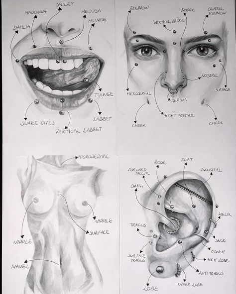 All Face Piercings Chart, Piercings Face Chart, Septum Sizes Chart, Eat Pericing Ideas Simple, Piercings Inspo Face, Piercing Chart Face, Pirsing Face, How To Draw Piercings, Mouth Piercings Chart