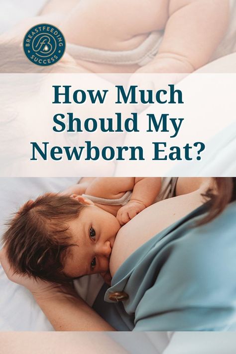 The amount of food a newborn eats can be very confusing. Here's the scoop on how much your little one needs! Here's The Scoop, New Parents, Little One, Look At, Parenting