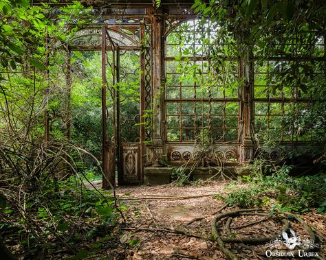 Dense Overgrowth Shrouds This Greenhouse, The Wrought Ironwork Rusted Brown As Years Pass Overgrown Photography, Steampunk Greenhouse, Steampunk Nature, Steampunk Garden, Abandoned Greenhouse, Abandoned Ohio, Italy Nature, Victorian Greenhouse, Italian Country