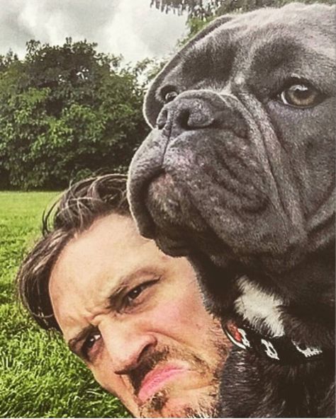 10k Likes, 88 Comments - Tom Hardy (@tomsohardy) on Instagram: “#Repost via @tomhardy Blu  ~ #blu #tomhardy #frenchbulldog #frenchie” Tom Hardy Dog, Tom Hardy Variations, Evangeline Lily, Anthony Kiedis, Joseph Gordon Levitt, Hardy Boys, Thomas Hardy, Uma Thurman, Gerard Butler