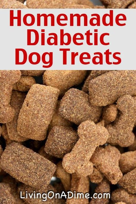 Homemade Diabetic Dog Treats Recipe - Just 3 Ingredients you already have at home! Dog Treats Recipe, Homemade Pet Treats, Pet Treats Recipes, Dog Biscuit Recipes, Healthy Dog Treats Homemade, Dog Treats Homemade Recipes, Treats Recipes, Food Dog, Diy Dog Treats