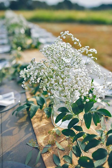 Babys Breath Wedding Ideas For Rustic Weddings ❤ See more: http://www.weddingforward.com/babys-breath-wedding-ideas/ #weddings Deco Champetre, Baby S Breath, Garden Party Wedding, Wedding Forward, Wedding Table Decorations, Baby's Breath, Wedding Table Centerpieces, Cheap Wedding, Flower Centerpieces