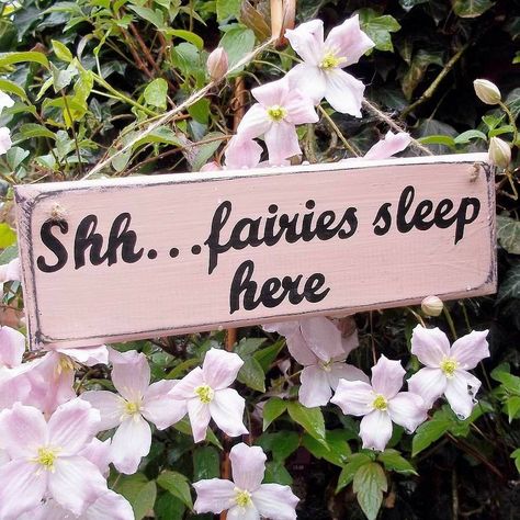 Shh...fairies sleep here.. A Sign, Sleep, Flowers, Pink