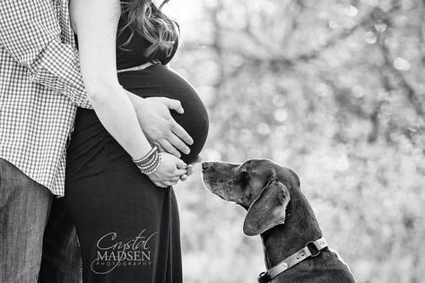 Beautiful maternity photo with the family dog Spokane photographer Crystal Madsen Photography www.CrystalMadsen.com Maternity Photography Tips, Baby Bump Pictures, Outdoor Maternity Photos, Maternity Photography Outdoors, Maternity Photography Poses Pregnancy Pics, Baby Bump Photos, Baby Fotografie, Maternity Photoshoot Poses, Maternity Inspiration