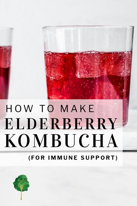 Immune Boosting Drinks, Second Ferment Kombucha, Watermelon Kombucha, Blueberry Kombucha, Kombucha Mother, Dried Elderberries, Elderberry Benefits, Fermented Drinks, Kombucha Flavors