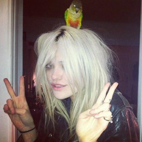 Sky Ferreira Hair, Sky Ferreira Style, Sky Ferreira, Alice In Chains, Heaven Sent, Hot Actors, Famous Women, Nirvana, Hair Inspo