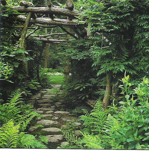 Backyard Woods, Forest Farming, Rustic Pergola, Urban Garden Design, Rogers Gardens, Ferns Garden, Halloween Garden, Stone Path, Forest Garden