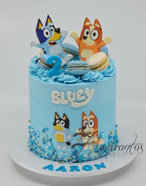 Best Bluey Cake - AC78 - Amarantos Cakes Bluey Buttercream Cake Ideas, Pastel De Bluey, 2nd Birthday Cake Boy, Bluey Birthday Cake, Bingo Cake, Bingo Bluey, Confirmation Cakes, Peppa Pig Birthday Party, Bluey Birthday