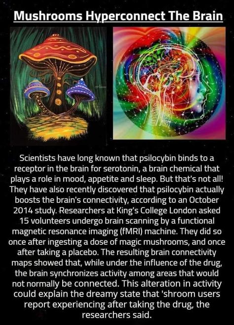 Psychic Development Learning, Kemetic Spirituality, Mushroom Benefits, Astronomy Facts, Magickal Herbs, Amanita Muscaria, Medical Herbs, Plant Magic, Psychadelic Art