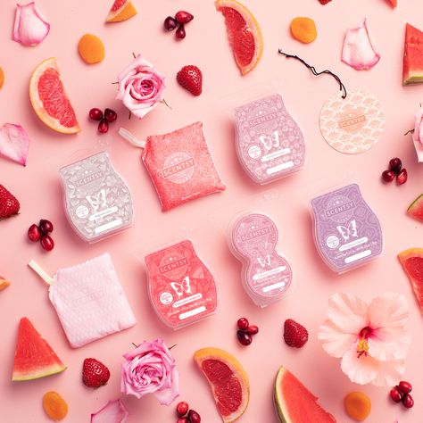 Electric Wax Burner, Pink Products, Scentsy Candles, Scentsy Warmers, Scented Wax Cubes, Scentsy Party, Scentsy Wax Bars, Scentsy Scent, Scentsy Fragrance