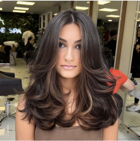 Medium Length Dark Hair Blowout, Medium Length Hair With Layers Volume, Collar Bone Haircut Layered, Collarbone Length Hair Blowout, Mid Length Blowout, Medium Brown Hair Blowout, Brown Hair Blowout Layers, Mid Length Brown Hair, Midi Hair