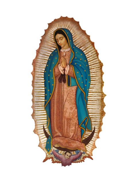 Laurence Amelie, Virgin Mary Tattoo, Lady Guadalupe, Mary Tattoo, Virgin Mary Art, Mexican Culture Art, Catholic Pictures, Virgin Of Guadalupe, Images Of Mary