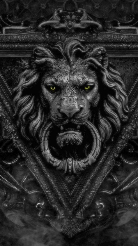 Lion, Black And White, Frame, White, Black