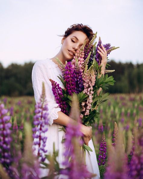 Lupine Flowers Photoshoot, Lupins Photoshoot, Lavender Fields Photography, Lupine Flowers, Summer Magic, Women Portrait, Flower Photoshoot, Nature Photoshoot, Creative Photoshoot Ideas