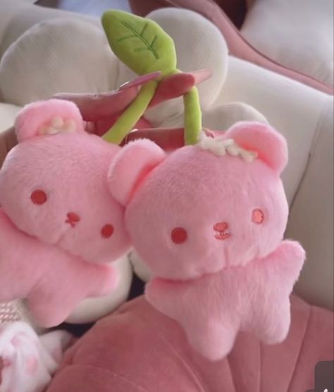 Cute Aesthetic Stuffed Animals, Cute Pink Plushies, Stuffed Animal Astethic, Plushies Aesthetic Korean, Kawaii Plushies Aesthetic, Cutecore Plushies, Sanrio Stuffed Animals, Kitten Plushie, Stuffed Animals Aesthetic