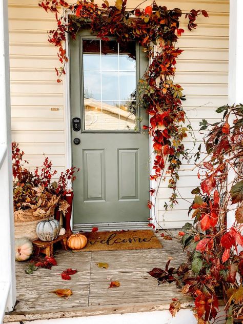 Easy back porch makeover with dried thyme paint by sherwin williams and fall decor ideas for your porch #falldecor #porchdecor #modernfarmhouse #homdecor #fallhomedecor #exteriordecor Back Porch Makeover, Front Yard Halloween Decorations, Porch Fall Decor, Outdoor Fall Decor Ideas, Fall Porch Decor, Porch Makeover, Fall Front Porch Decor, Fall Front Door, Halloween Tattoo