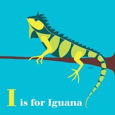 Iguana Illustration, Zoo Logo, Kitty Crowther, Mexican Textiles, Rug Inspiration, Visual Aids, Animal Alphabet, Animal Projects, Vintage Children's Books